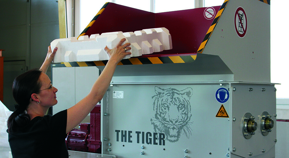 s57 Tiger IMG_6477_small